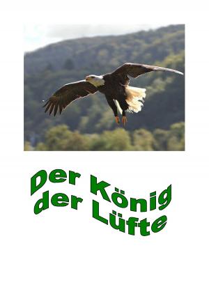 Cover of the book Der König der Lüfte by Rolf Hammerschmidt