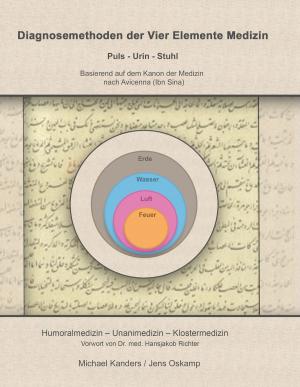 Cover of the book Diagnosemethoden der Vier Elemente Medizin by Ceylan Türk, Ertan Türk