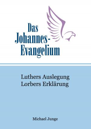 Cover of the book Das Johannes-Evangelium by Peer Millauer