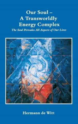Cover of the book Our Soul - A Transworldly Energy Complex by Dirk Glebe