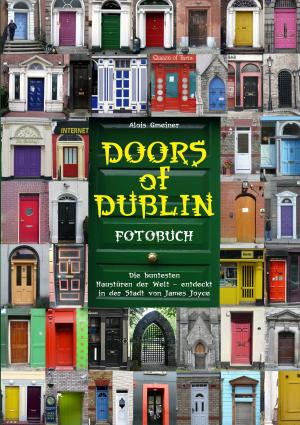 Cover of the book Doors of Dublin by Ingo Michael Simon