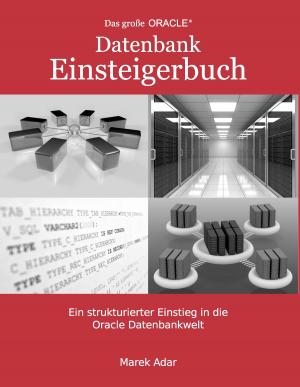 Book cover of Das große Oracle Datenbank-Einsteigerbuch.