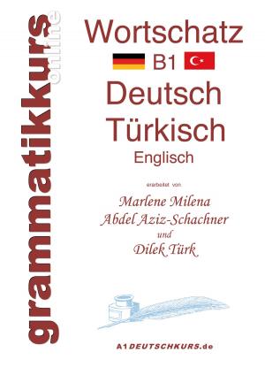 Cover of the book Wörterbuch Deutsch - Türkisch - Englisch Niveau B1 by André Sternberg