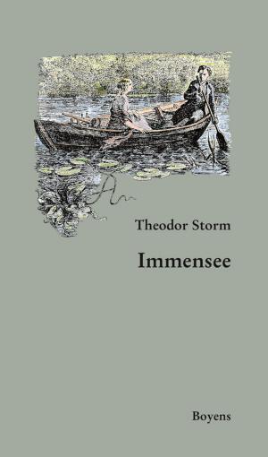 Cover of the book Immensee by Dieter Lohmeier, Heinrich Detering