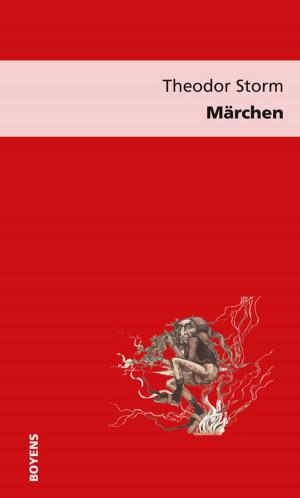 Cover of the book Märchen by Dieter Lohmeier, Heinrich Detering