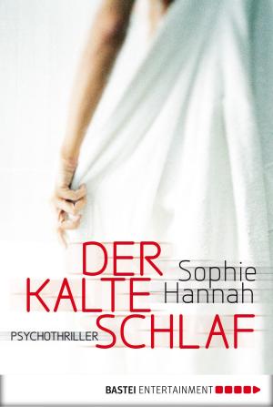 Cover of the book Der kalte Schlaf by Christine Feehan