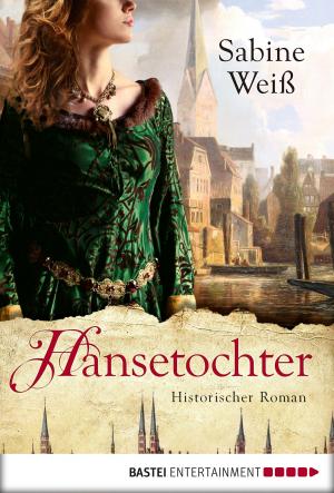 Cover of the book Hansetochter by Wolfgang Hohlbein