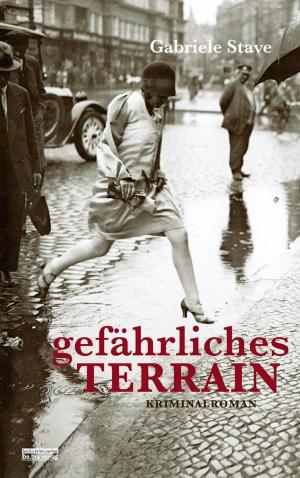 Cover of the book Gefährliches Terrain by Hermann Pölking