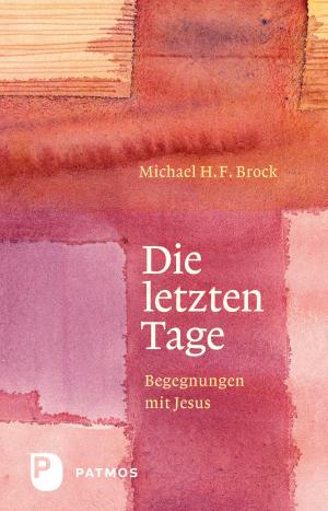 Cover of the book Die letzten Tage by Jürgen Burkhardt, Rita Krebsbach