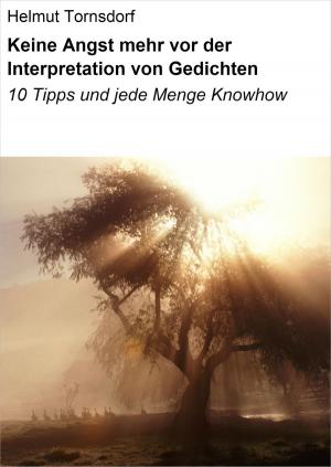 Cover of the book Keine Angst mehr vor der Interpretation von Gedichten by Klaus-Dieter Thill