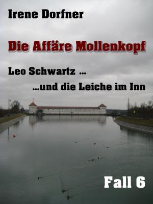 Cover of the book Die Affäre Mollenkopf by Sarah Jenkins