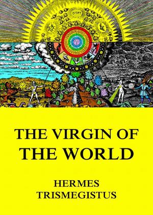 Cover of the book The Virgin of the World by Keri Stone
