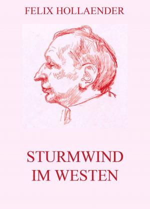 Book cover of Sturmwind im Westen