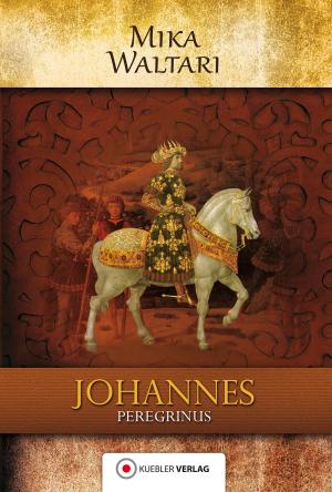 Cover of the book Johannes Peregrinus by Dirk Walbrecker