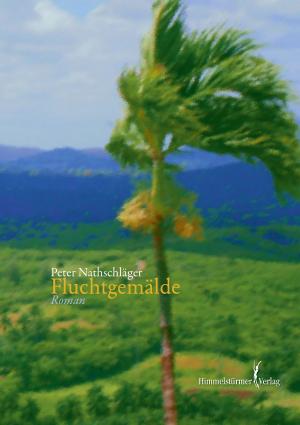 Cover of the book Fluchtgemälde by Peter Nathschläger