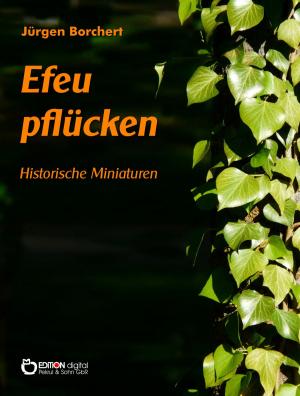 Cover of the book Efeu pflücken by Erika Borchardt, Jürgen Borchardt