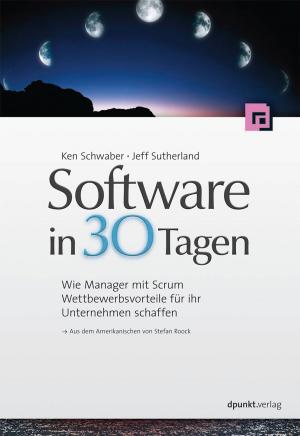 Cover of the book Software in 30 Tagen by Gunther Popp