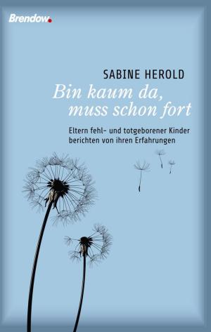 Cover of the book Bin kaum da, muss schon fort by Anja Lerz