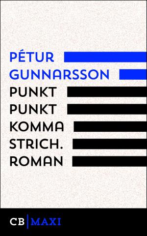 Cover of the book punkt punkt komma strich by Pétur Gunnarsson
