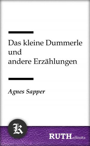 Cover of the book Das kleine Dummerle und andere Erzählungen by James Fenimore Cooper