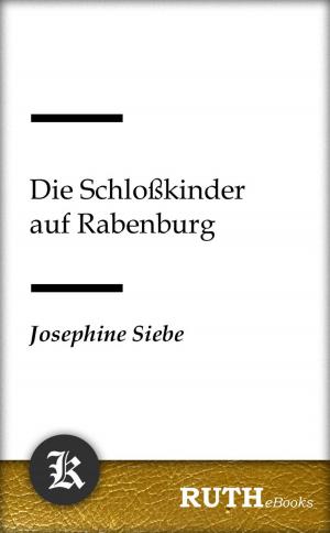 Cover of the book Die Schloßkinder auf Rabenburg by Alois Theodor Sonnleitner