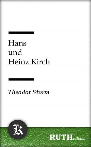 Cover of the book Hans und Heinz Kirch by Edgar Allan Poe