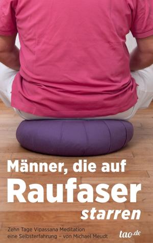 Cover of the book Männer, die auf Raufaser starren by Norbert Oskar Maria Feilhaber