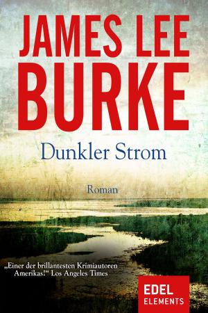 Cover of the book Dunkler Strom by Sophia Farago