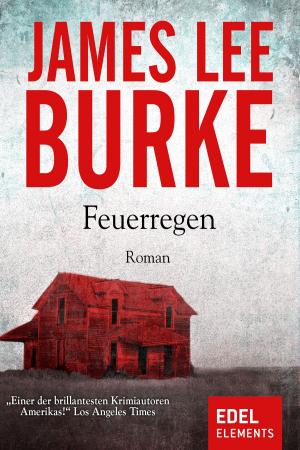 Cover of the book Feuerregen by Jeanette Sanders