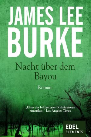 Cover of the book Nacht über dem Bayou by Ina Rudolph
