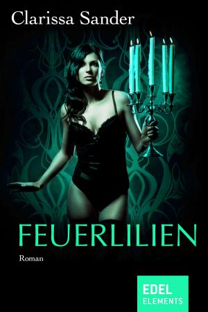 Cover of the book Feuerlilien by Gabriele Ketterl