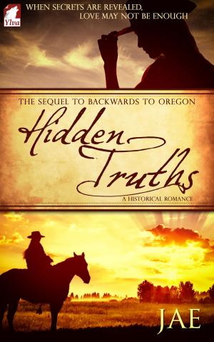 Cover of the book Hidden Truths by RJ Nolan