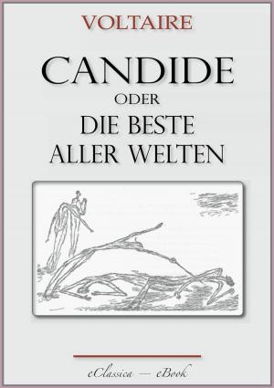 Book cover of Voltaire: Candide oder Die beste aller Welten. Mit 26 Federzeichnungen von Paul Klee