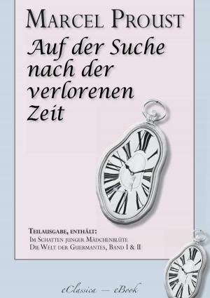 Book cover of Marcel Proust: Auf der Suche nach der verlorenen Zeit (Teilausgabe, ca. 1100 Seiten)