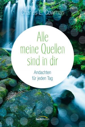 Cover of the book Alle meine Quellen sind in dir by Gerth Medien