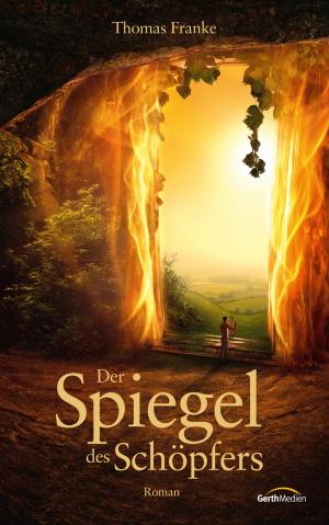 Cover of the book Der Spiegel des Schöpfers by Claudia Weiand