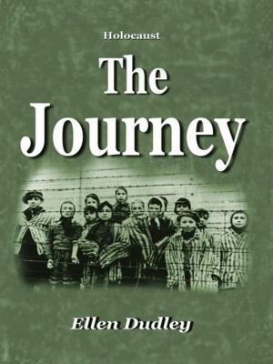 Book cover of The Journey.