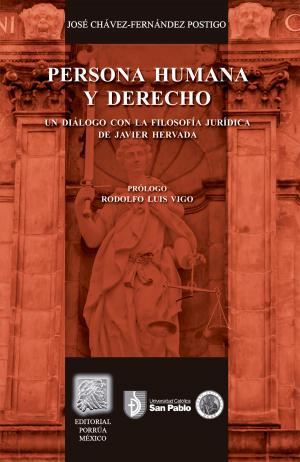 Cover of the book Persona humana y derecho by Martha Sánchez Navarro