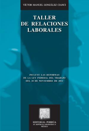 Cover of the book Taller de relaciones laborales by Juan de Dios González Ibarra