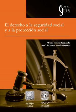 bigCover of the book El Derecho a la Seguridad Social y a la Protección Social by 