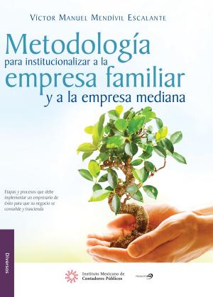 bigCover of the book Metodología para institucionalizar a la empresa familiar y a la empresa mediana by 