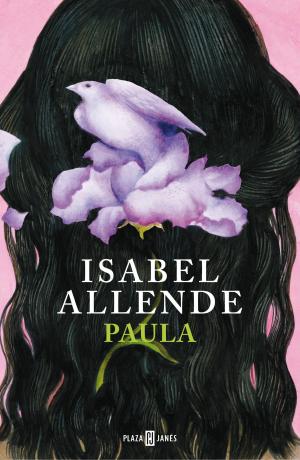 Cover of the book Paula by Benjamín Prado
