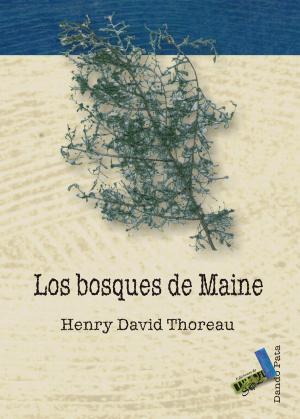 Book cover of Los bosques de Maine