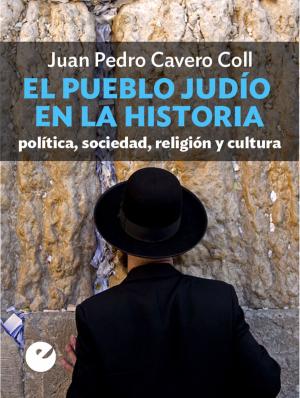 Cover of the book El pueblo judío en la historia by Javier Leralta