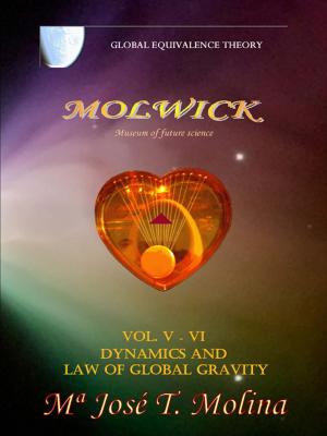 Cover of Dynamics and Global Gravity Law