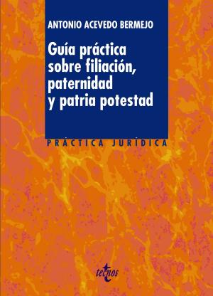 Cover of the book Guía práctica sobre filiación, paternidad y patria potestad by Eva María Cascales Domínguez