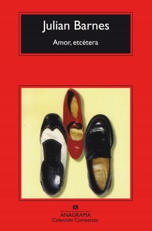 Cover of the book Amor, etcétera by Sara Mesa