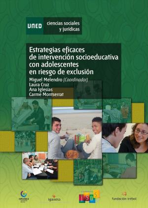 Cover of the book Estrategias Eficaces de Intervención Socioeducativa con Adolescentes en Riesgo de Exclusión by Marta Cerezo Moreno
