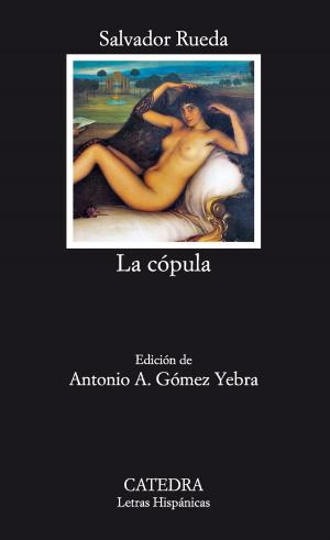 Cover of the book La cópula by José Antonio Piqueras