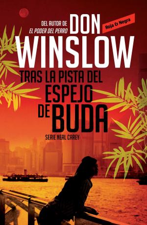 Cover of the book Tras la pista del espejo de Buda (Los misterios de Neal Carey 2) by Alberto Vázquez-Figueroa